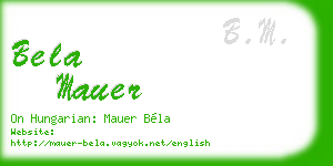 bela mauer business card